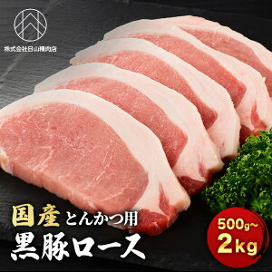 yƒpEƖpzY ؃[X gJcp 500g/1kg/2kg  [X [X [ Ⓚ XCX Ƃ񂩂pJbg ؂H׉_ g ⓀXgbN ƒp Ɩp ٓ 
