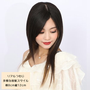 女性用部分 ウィッグの通販 価格比較 価格 Com