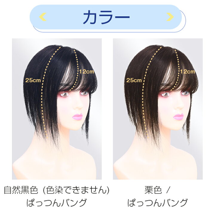 楽天市場】「T型メッシュネット」部分ウィッグ 人毛100％ 自然 分け目 