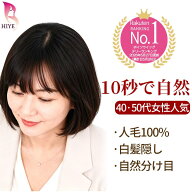 【試着可能 返品OK】 初心者 向け 部分 ウィッグ ポイント かつら 頭頂部 人毛 100% つむじ 分け目 ヘア…