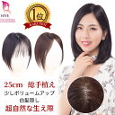 【試着可能 返品OK】初心者向け 7×10cm 部分ウィッグ ポイント ウィッグ 頭頂部 人毛 100% 完全手作業 トップ 分け目…