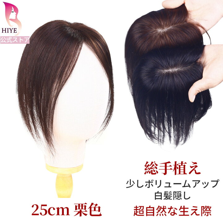 楽天市場】返品可【初心者向け】 7×10cm 部分ウィッグ 総手植え 頭頂部 