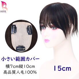 【楽天1位獲得】【試着OK】ウィッグ部分 つむじ 人毛100% 医療用 つむじ 部分 ヘアピース かつら 女性 メンズ 手植え 白髪隠れ 前髪ウィッグ 自然 部分ウィッグ7-10〜