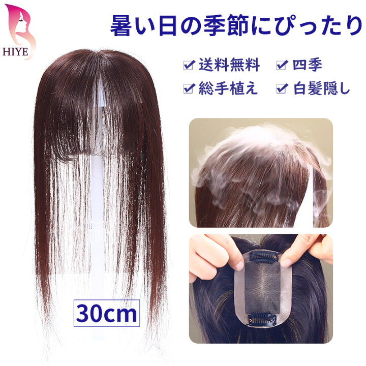 楽天市場】【返品OK】【超通気・肌色メッシュ】部分ウィッグ 人毛100 