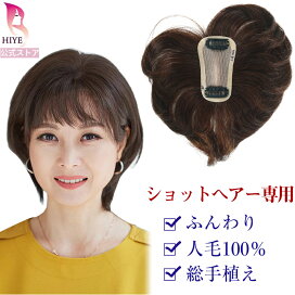 楽天市場】 部分ウィッグ > 医療用部分ウィッグ : HIYE ウィッグ専門店 