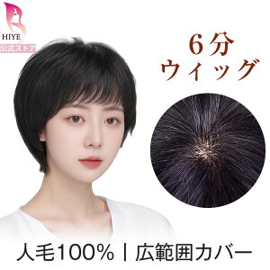 y\ ԕiOKz 6EBbOL͈̓Jo[ EBbO l100 VbgwA  Aނ   ×p fB[X ʋC A wA[s[X  ×pEBbO 