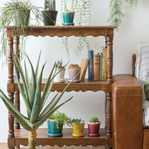 観葉植物 ベランダ プランターの人気商品 通販 価格比較 価格 Com