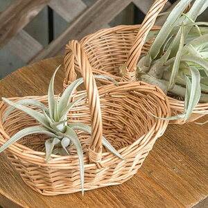 obO@oXPbg 2Zbg [ obO ҂ JSobO obO@ F uE  i` JS  obO I[o^ ȉ~ [ _rO  Lb`  