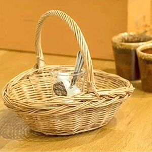 obO oXPbg 2Zbg [ obO ҂ JSobO obO F uE i` I[o^ [ _ Lb`  R  k CeA