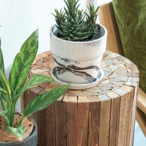 y10OFFzA[ovc|bg }[uL a19.5cm Aؔ K[fjO O[ ϗtA x_ CeA  v^[ vX`bN EbhpE_[ Xg[pE_[ ꌊ