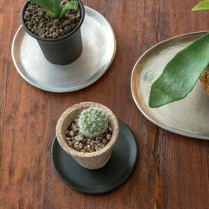 Ehv[g 2Zbg a10cm M 󂯎M M ێM ~` Aؔ K[fjO O[ ϗtA x_ CeA  v^[ A~jE Vo[ ubN fBXvC g