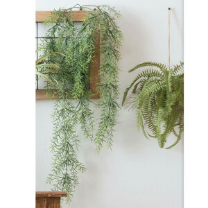 y10OFFztFCNO[ lHϗtA AXpKXEXvQ[ CeA  ϗtA fR[V ͗lւ _rO i` ΂̂炵  k fBX