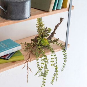 tFCNO[ lHϗtA nMOvc CeA  ϗtA ͗lւ _rO i` ΂̂炵  k fBXvC Vbv  hCt[