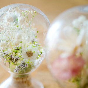 V[h{g o[ 380cc CeA fBXvC G NAn KX|bg ϔMKX e َq XpCX R[q[  i` _ k CeA ͗lւ Lb` J