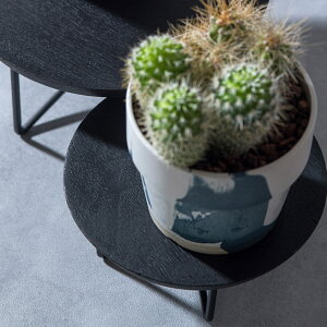 yT[NXR|[g X^h a15cm ubN z Ebh ی^ ~` Eh ؐ Ԓu W K[fjO O[ ϗtA }S[Ebh ACA  k i` ~