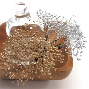 wAANZ  hCt[  q ݂ JX~\E   t[ RT[W Us 3{Zbg  䂩 ԉΑ U  l Ǝ  wAAW p[e