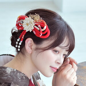   U  g _ Y   ladies  ubN   sN  ܂ݍ׍H p[ a ߂ { ʐ^ LOBe l Ǝ ݂ wAANZT[