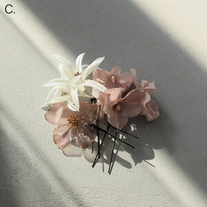  wAANZT[ y wAXeBbN3{Zbg AJt[ z wAANZ s A[eBtBVt[ NA  吳} g ݃J[ jAXJ