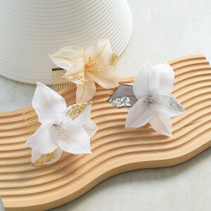 y SzR[ { wAANZT[  Vo[ S[h  l U Ǝ  ĩwAAWɂ