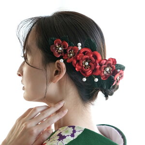 y xxbg[Y R[Us2_Zbgz  KN xA p[ wAANZ 吳} g AeB[NJ[ U  l Ǝ OB wA wAAW { 