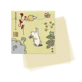 [送料無料] ノーマル特漉あぶらとり紙【せのおりかパッケージ】大判サイズ　1冊