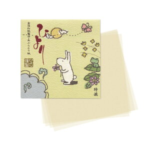 [] m[}ԂƂ莆ŷ肩pbP[Wz唻TCY@1