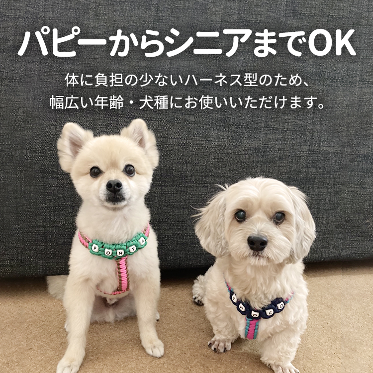 【HIYORIPETSオリジナル】お名前入り　花編みハーネス世界にひとつのフルオーダー品Mサイズ（胴回り：31〜50）小型犬〜中型犬に最適 |  HIYORI PETS