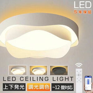 _2025iŁ5Nۏ؁㉺EKi^VƖ V[OCg LED  F Ɩ ԐڏƖ k Ɩ nX̉ Ԃ̌` 6 8 10 12 R ^C}[t C