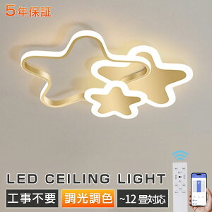 y2025V5Nۏ؁KizV[OCg LED q ̌` 6 8 10 12 F  k Rt Ɩ VƖ Ɩ  CeAƖ ȃGl 