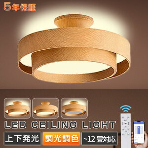 y2025V5Nۏ؁KizV[OCg ؖڒ k _ F  LED 铔 _炩 ی` 8`12 LEDV[O ^ ԐڏƖ VtƖ rO Q  dC 