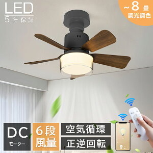 y2025VoꁚKir[TzV[Ot@Cg dc[^[ 4~8 k g led F t@tƖ V[OCg T[L[^[ Rt ʒ y 