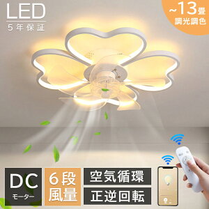 y5Nۏ؁Kir[TzV[Ot@Cg dc[^[ 12 ^ k led F  n[g` t@tƖ V[Ot@ R APP Cz 6i