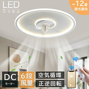 y5Nۏ؁Kir[TzV[Ot@Cg dc[^[ 10 12 ^ k led F  t@tƖ V[OCg V[Ot@ R Cz