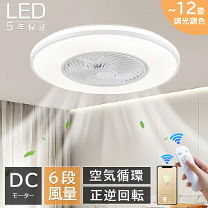 yKi聚5Nۏ؁zV[Ot@Cg V[Ot@ LED dc[^[ t@tƖ V[OCg 12 k ^ F  ߓd ȃGl R APPΉ 