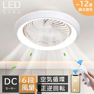 yKi聚5Nۏ؁zV[Ot@Cg V[Ot@ LED dc[^[ t@tƖ V[OCg 12 k ^ F  ߓd ȃGl R APPΉ 
