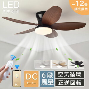 y5Nۏ؁Kir[TzV[Ot@ V[Ot@Cg  DC[^[ ^ 5H @ t] t@ 10 12 Cz u Rt LEDV[