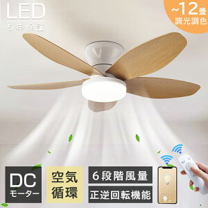 y5Nۏ؁Kir[TzV[Ot@ V[Ot@Cg  DC[^[ ^ 5H @ t] t@ 10 12 Cz u Rt LEDV[