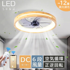 y5Nۏ؁Kir[TzV[Ot@ V[Ot@Cg LED dc[^[ k ^ led F @ 10 12  t@tƖ 铔 @\ R