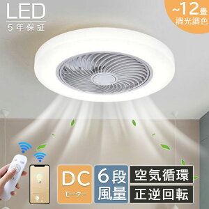 y5Nۏ؁r[TzV[Ot@ V[Ot@Cg LED dc[^[ k ^ led F @ 10 12  É t@tƖ 铔 @\ R APP