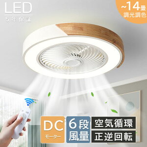 y5Nۏ؁r[TzV[Ot@ V[Ot@Cg LED dc[^[ k ^ led F @ 10 12 14  t@tƖ 铔 @\ Rt