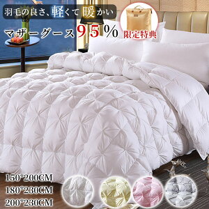 y2025VzHѕzc Z~_u VO |zc |zcJo[ HтӂƂ gzc  y Hъ|zc zCg_bN_E95 I[V[Y t H ~pzc ړh~32