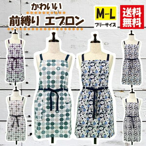 yzOуV[gGv M-L t[TCY 100 K[fjO JWA  V[g O