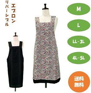 yzIׂTCY o[Vu H^Gv tH[}@ ԕ 傫TCY |GXe100