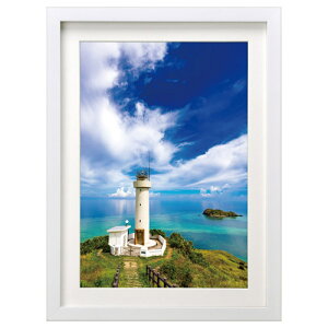 nNo ؐz MM-01 A3TCY zCg FWMM01-WTA3 4977187491005 tHgt[ ʐ^ ؐ Ǌ| 