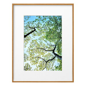 nNo HAKUBA ZEROt[ G-01 A4 i` FZG01-A4NT 4977187487251 z tHgt[ ʐ^  Ǌ|