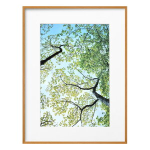 nNo HAKUBA ZEROt[ G-01 A3mr i` FZG01-A3NNT 4977187487275 z tHgt[ ʐ^  Ǌ|