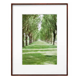 nNo HAKUBA ZEROt[ G-01 A4 uE FZG01-A4BR 4977187487282 z tHgt[ ʐ^  Ǌ|