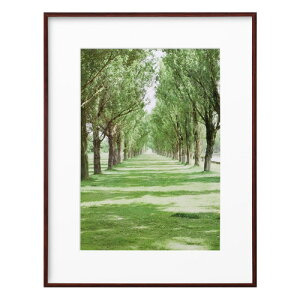 nNo HAKUBA ZEROt[ G-01 A3 uE FZG01-A3BR 4977187487299 z tHgt[ ʐ^  Ǌ|