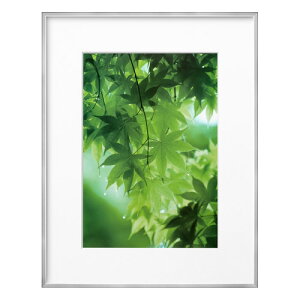 nNo HAKUBA ZEROt[ G-01 A4 Vo[ FZG01-A4SV 4977187487312 z tHgt[ ʐ^  Ǌ|