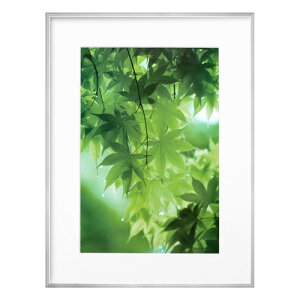 nNo HAKUBA ZEROt[ G-01 A3mr Vo[ FZG01-A3NSV 4977187487336 z tHgt[ ʐ^148733  Ǌ|